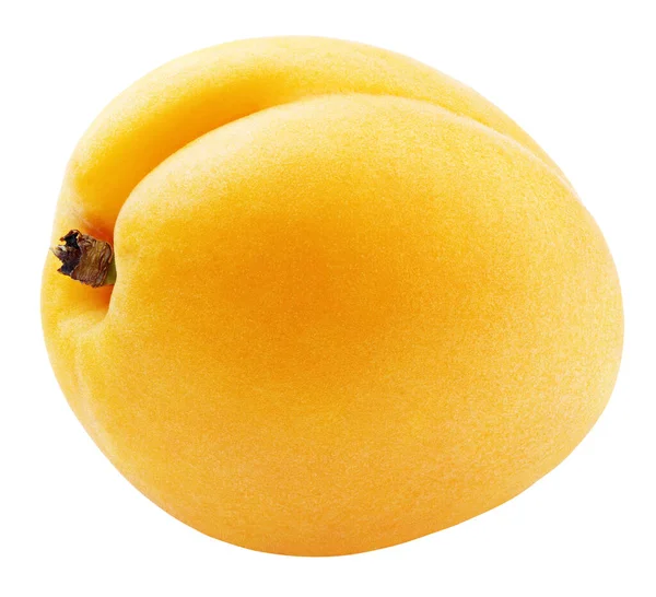 Jednoduchá Meruňková Nebo Žlutá Švestka Izolovaná Bílém Pozadí Meruňkové Ovoce — Stock fotografie