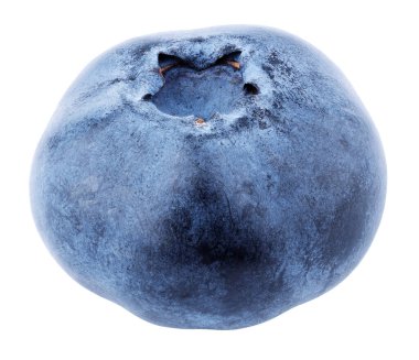 Beyaz arka planda yaban mersini izole edilmiş. Kırpma yolu olan yabanmersini. Tam alan derinliği.