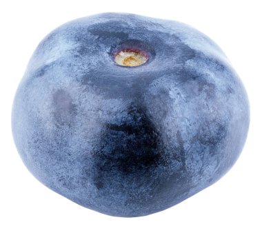 Beyaz arka planda yaban mersini izole edilmiş. Kırpma yolu olan yabanmersini. Tam alan derinliği.