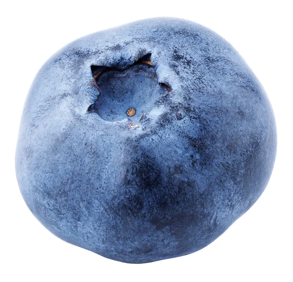 Single Blueberry Berry Isolated White Background Blueberry Clipping Path Full — Stock Photo, Image
