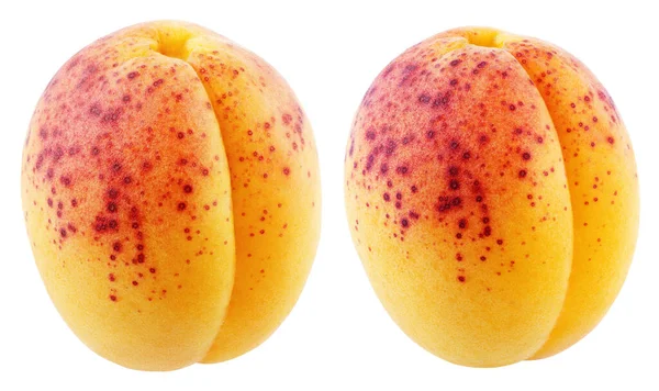 Ein Paar Aprikosenfrüchte Isoliert Auf Weißem Hintergrund Mit Schnittpfad Volle — Stockfoto