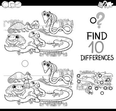 hayvanlar farklılıklar oyunu