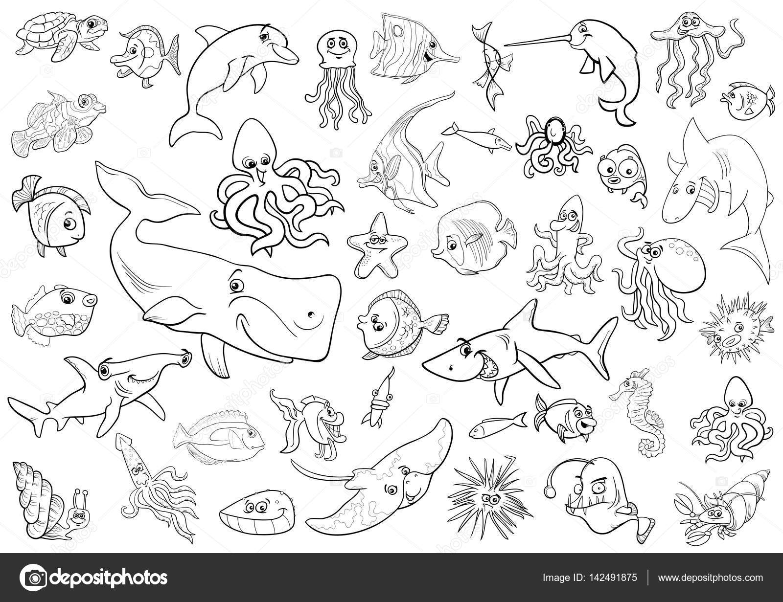morze życie zwierzęta kolorowanki — grafika wektorowa