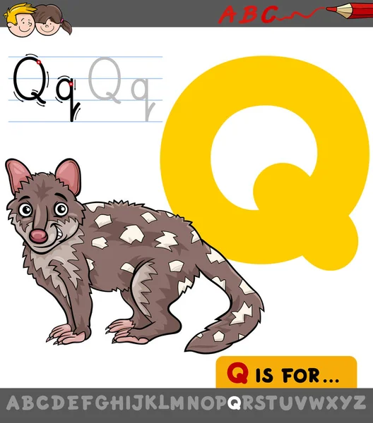 Letter q with cartoon quoll — Stock Vector