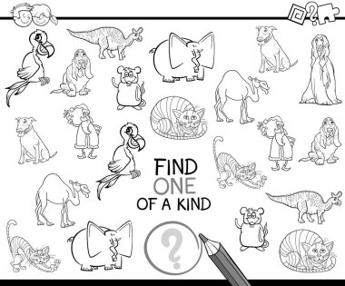 bir tür boyama kitabı