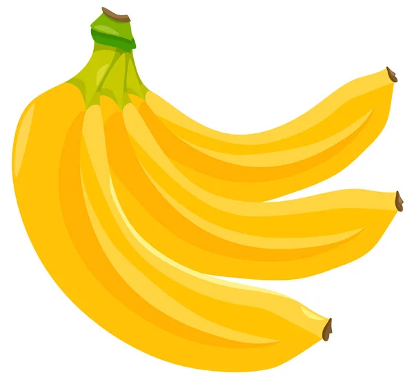 Banan frukter mat objekt illustration — Stock vektor