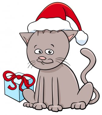 Noel hediye ile yavru kedi