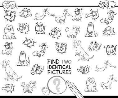 iki özdeş köpek eğitim renkli kitap bulmak