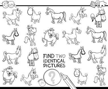 iki özdeş atları eğitim renkli kitap bulmak