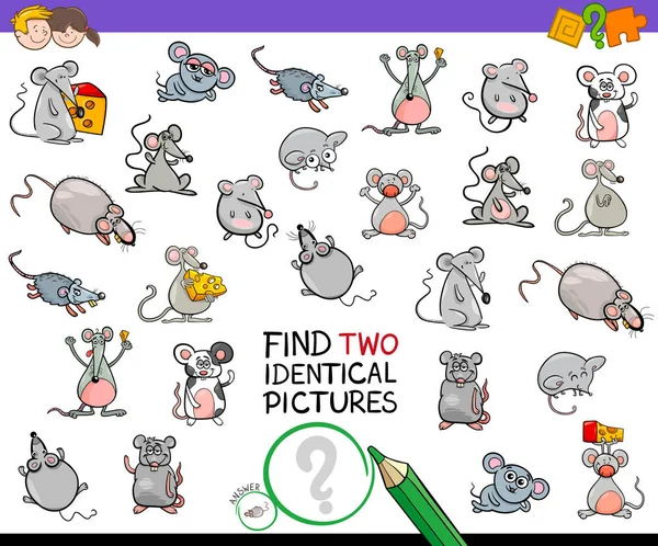 Znaleźć dwa identyczne myszy działalność edukacyjna — Wektor stockowy