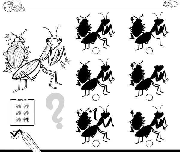 Bug ombre gioco educativo libro a colori — Vettoriale Stock