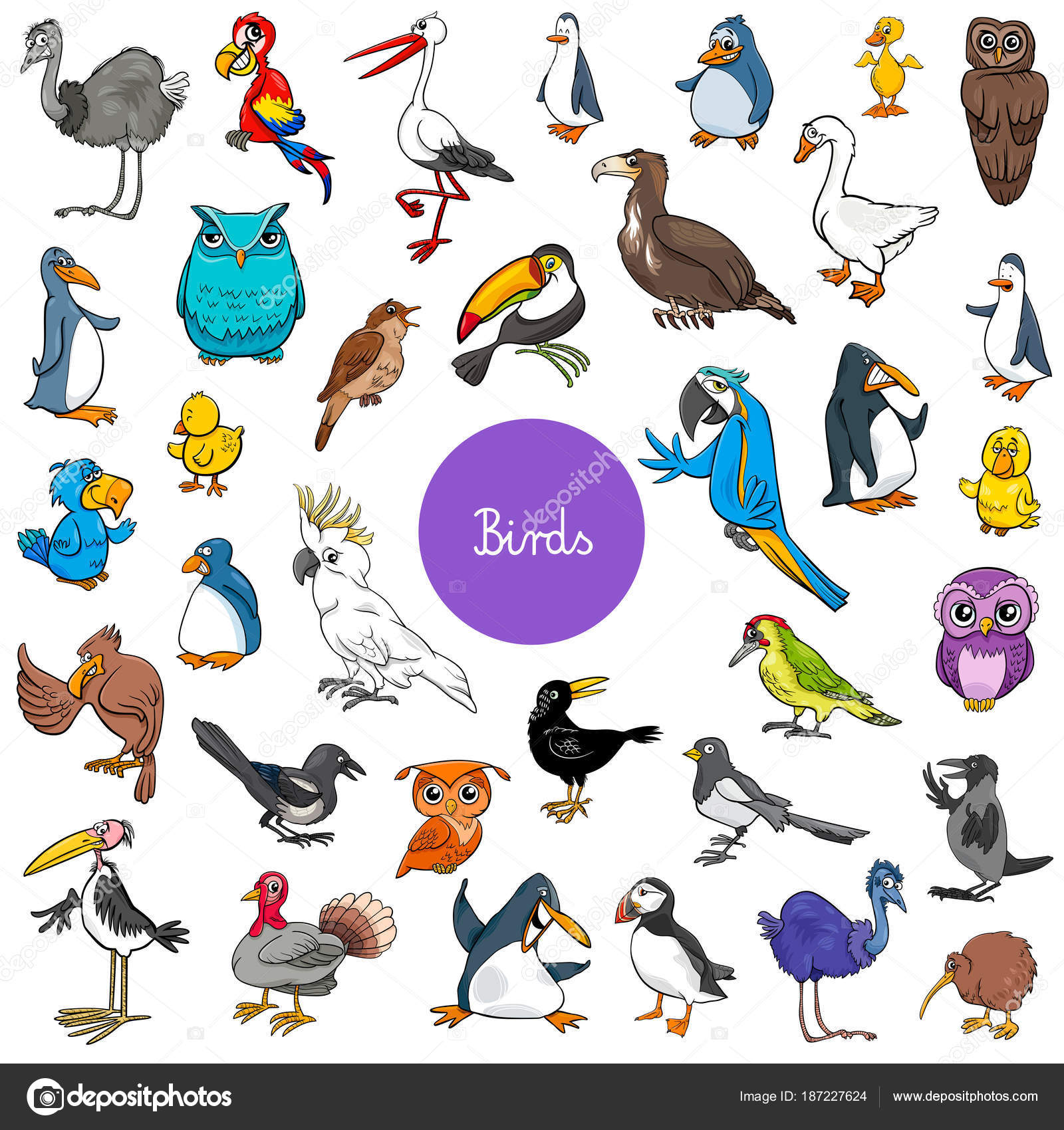 571 ilustraciones de stock de Kiwi animal | Depositphotos 571 ilustraciones de stock de Kiwi animal | Depositphotos