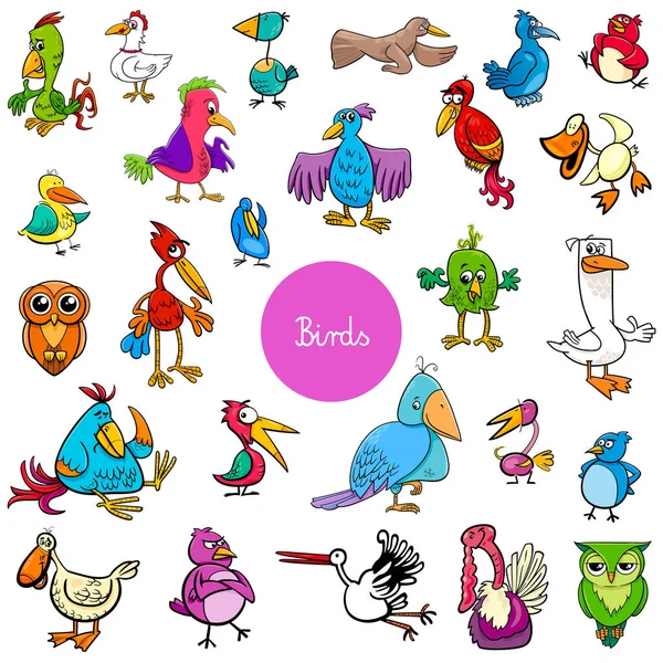 Cartoon birds animal characters big collection — Stock Vector