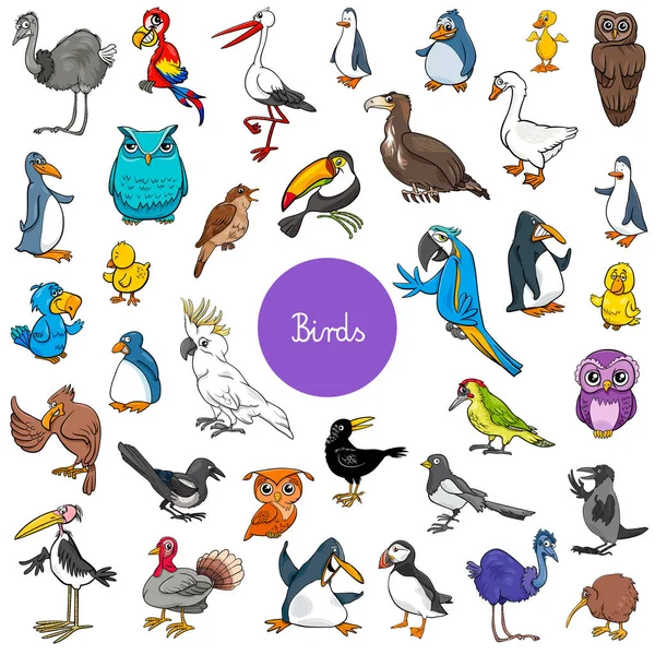 Dibujos animados aves animales personajes gran conjunto — Archivo Imágenes Vectoriales