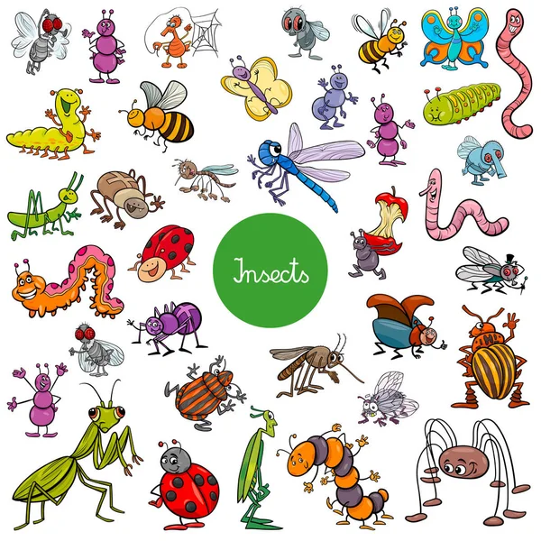 Dibujos animados insectos animales personajes gran conjunto — Archivo Imágenes Vectoriales