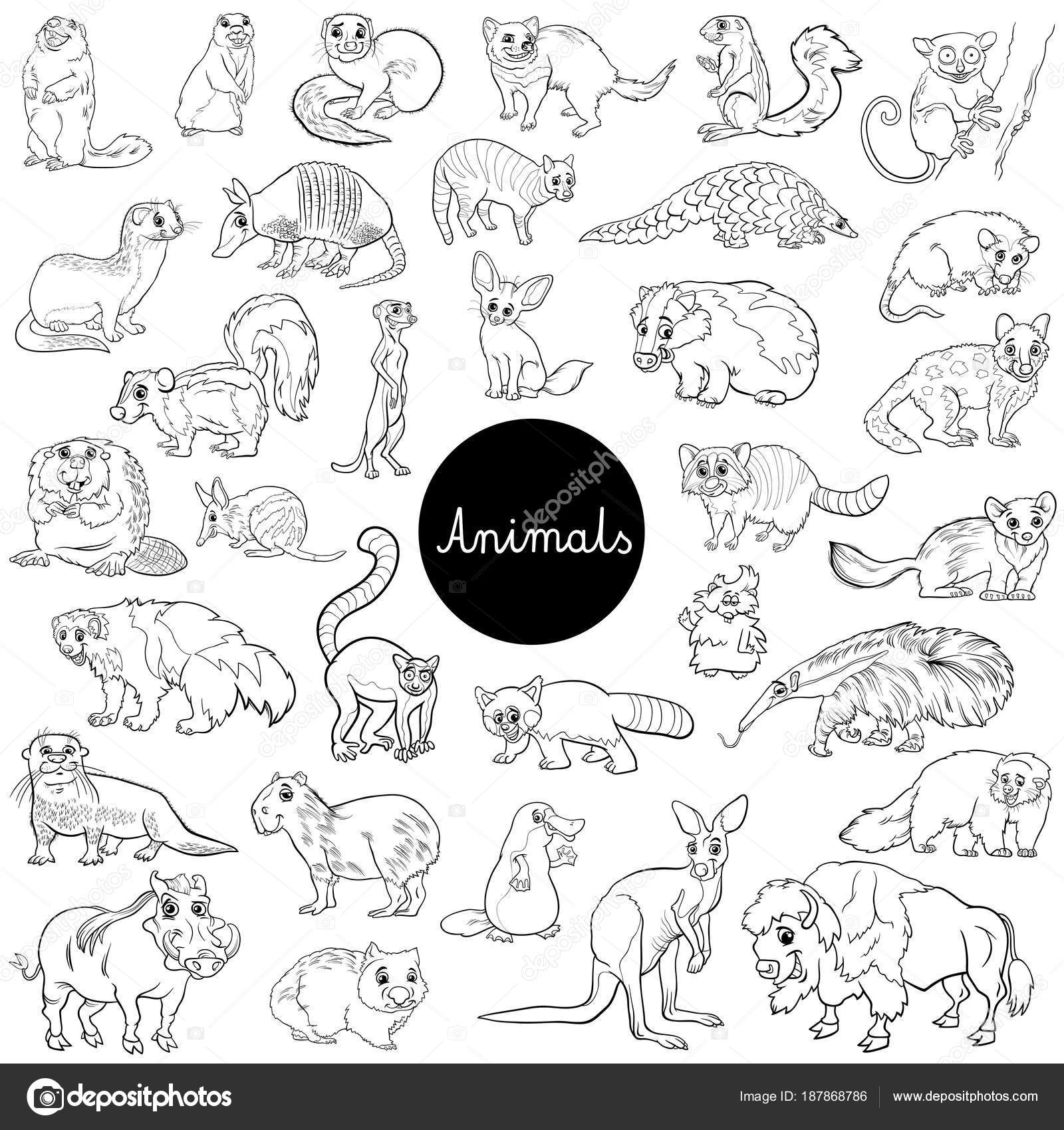 Imágenes: animales mamiferos en blanco y negro | personajes animales