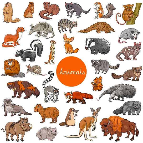 Duży zestaw postacie zwierząt dzikich ssaków — Wektor stockowy