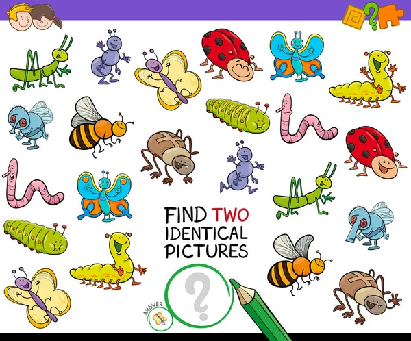 Find two identical bug pictures game for kids — Stock Vector