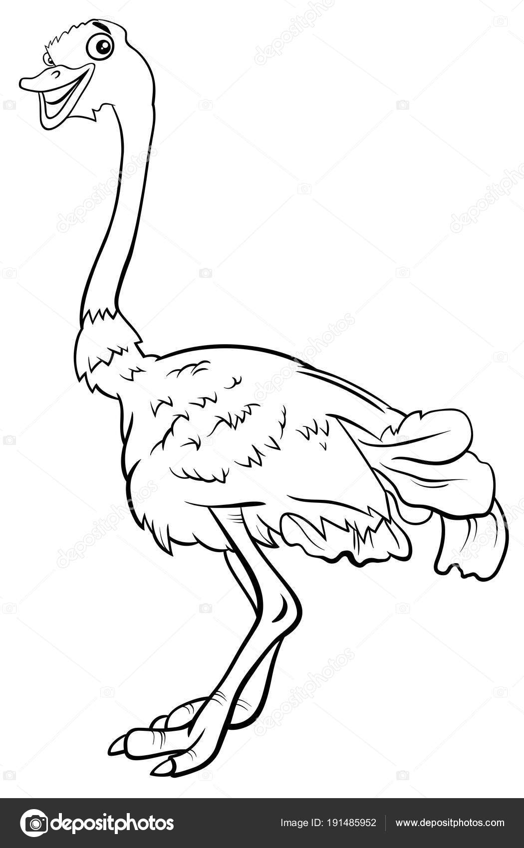 Download Ostrich Bird Animal Character Cartoon Coloring Book Vector Image By C Izakowski Vector Stock 191485952