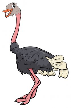 Devekuşu kuş hayvan karakter karikatür çizimi