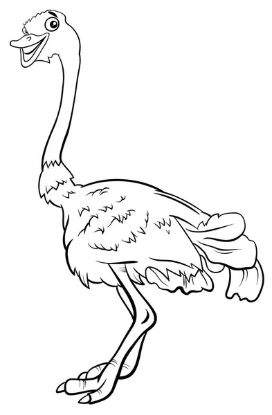 Στρουθοκάμηλος πουλιών χαρακτήρων των ζώων γελοιογραφία χρωματίζοντας βιβλίο — Διανυσματικό Αρχείο