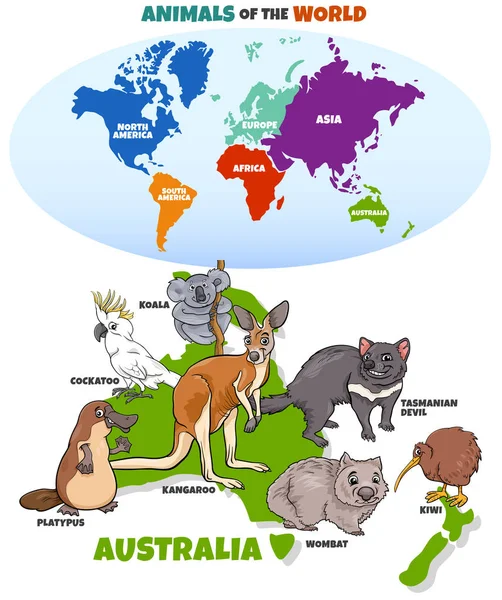 澳洲卡通动物教育图解 — 图库矢量图片