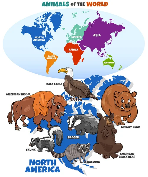 Educational illustration of cartoon North American animals Vector Graphics