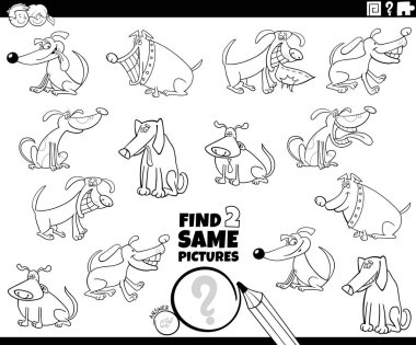 İki tane aynı köpeğin görev renk kitabını bul