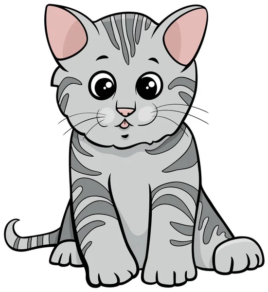 Gris tabby gatito dibujos animados animal carácter — Archivo Imágenes Vectoriales