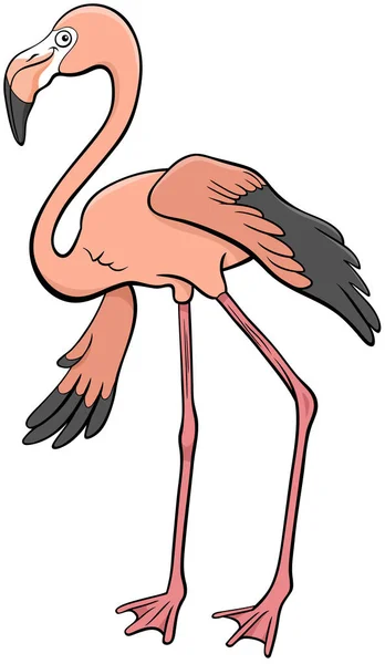 フラミンゴ鳥のキャラクター漫画イラスト — ストックベクタ