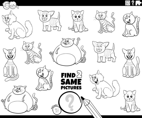 Encontrar dois mesmos gatos tarefa colorir livro — Vetor de Stock