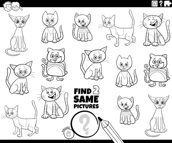 Encontrar dos gatos mismo libro para colorear juego — Vector de stock