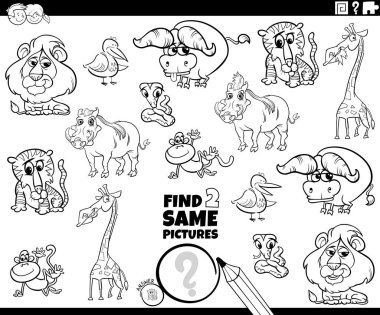 İki tane aynı hayvan boyama kitabı oyunu bul