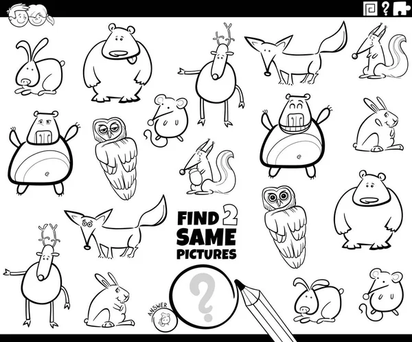Find two same animal characters game color book — 스톡 벡터
