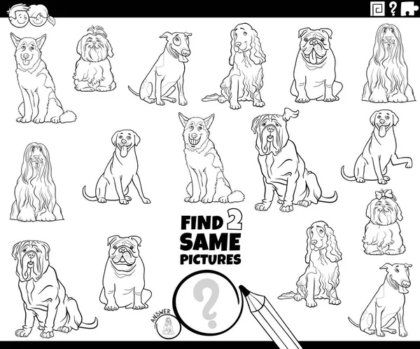 Find two same dogs characters game color book — Stock Vector