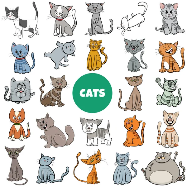Cartone animato gatto e gattini personaggi grande set — Vettoriale Stock