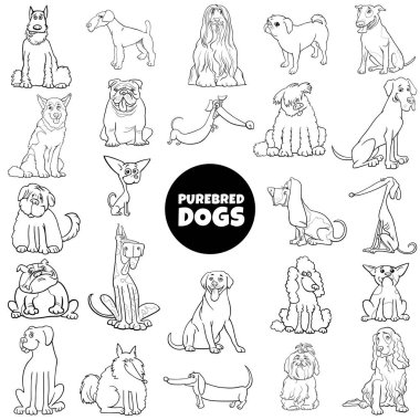 cartoon purebred dogs set color book page