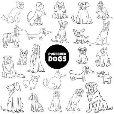 cartoon purebred dogs large set color book page