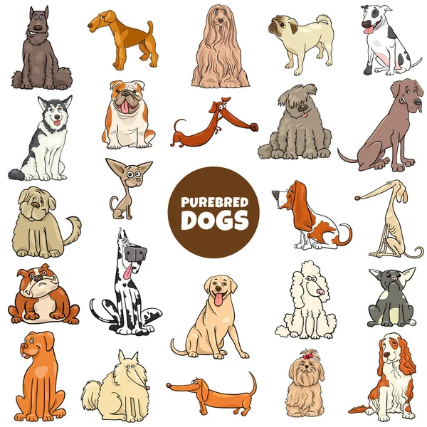 Cartoon purebred dogs characters large set — 스톡 벡터