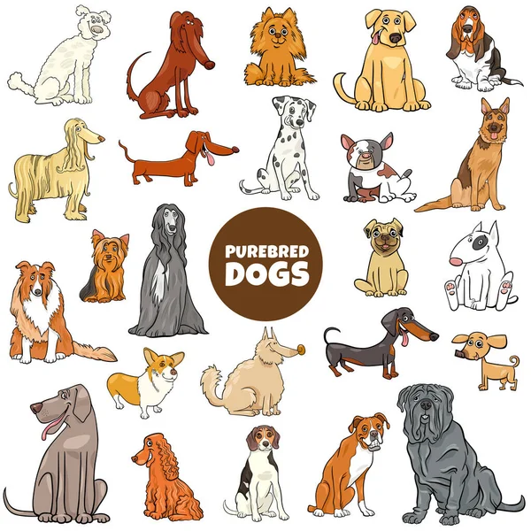 Cartoon purebred dog characters large set — 图库矢量图片