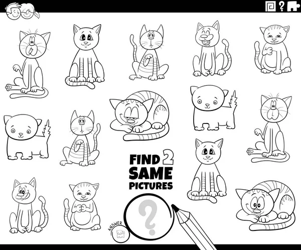 Kedi Kedi Yavruları Hayvan Karakterleri Boyama Sayfası Çin Aynı Fotoğrafı — Stok Vektör