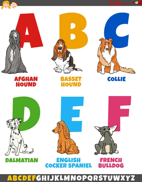 Cartoon Illustration Colorful Alphabet Set Letter Funny Purebred Dogs Animal — Stock Vector