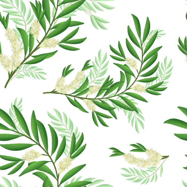 Tea tree branch pattern with flowers and leaves. Malaleuca or tea tree design composition. Vector illustration for use in web design, print or other visual area — Stock Illustration Tea tree branch pattern with flowers and leaves. Malaleuca or tea tree design composition. Vector illustration for use in web design, print or other visual area Vector Graphics