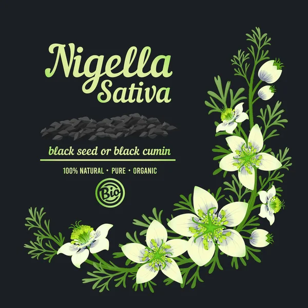 Cominho Preto Rótulo Cosmético Nigella Sativa Flores Brancas Sementes Com — Vetor de Stock