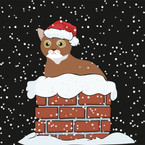 Christmas cat Tarih bir trompet