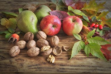 üzerinde farklı sonbahar meyve ağaçları düştü