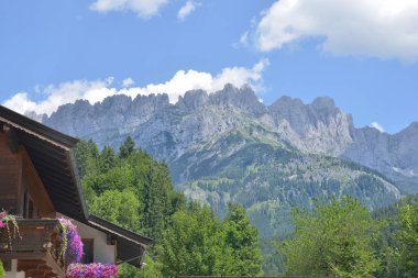 Palamutlu bir alakarga.