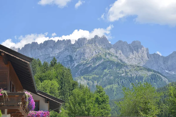 Palamutlu bir alakarga.