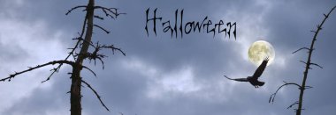 Cadılar Bayramı ile banner