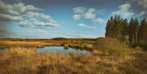 Hohes Venn Belgium Germany Stock Picture